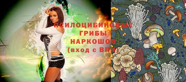 индика Абинск