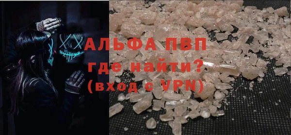 индика Абинск