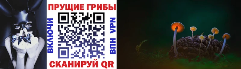 Псилоцибиновые грибы мицелий Ахтырский